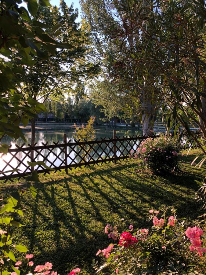 Chalet B&B Laghetti Martina Crevalcore ภายนอก รูปภาพ