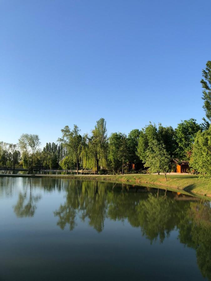 Chalet B&B Laghetti Martina Crevalcore ภายนอก รูปภาพ